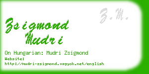 zsigmond mudri business card